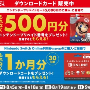 8月5日より！ローソンでニンテンドープリペイドカード9,000円券を買うと1000円分ポイントがもらえるキャンペーンがスタート！ – Nintendo  DREAM WEB